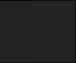 Nástup na běžecké tratě