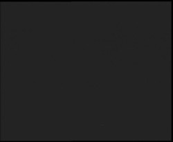 Nástup na běžecké tratě