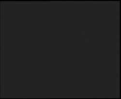 Nástup na běžecké tratě