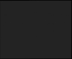 Nástup na běžecké tratě