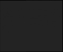 Nástup na běžecké tratě