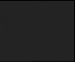 Nástup na běžecké tratě