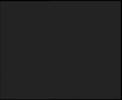 Nástup na běžecké tratě