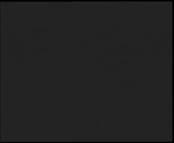 Nástup na běžecké tratě