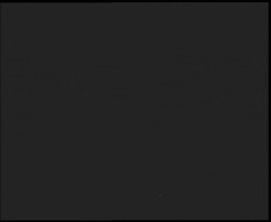 Nástup na běžecké tratě