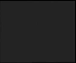 Nástup na běžecké tratě