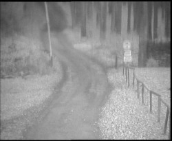 Nástup na běžecké tratě