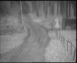 Nástup na běžecké tratě