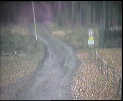 Nástup na běžecké tratě