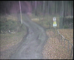 Nástup na běžecké tratě