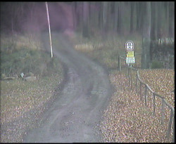 Nástup na běžecké tratě