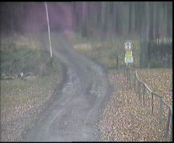 Nástup na běžecké tratě