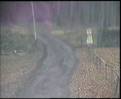 Nástup na běžecké tratě