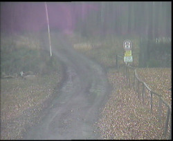 Nástup na běžecké tratě