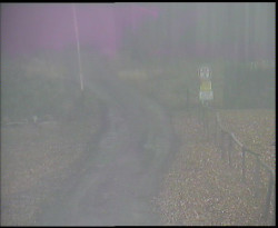 Nástup na běžecké tratě