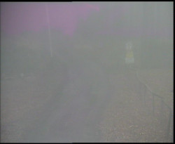 Nástup na běžecké tratě