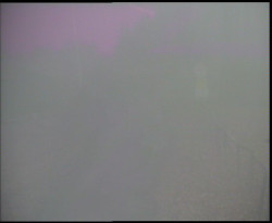 Nástup na běžecké tratě