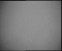 Nástup na běžecké tratě