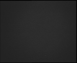 Nástup na běžecké tratě