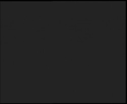 Nástup na běžecké tratě