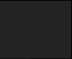 Nástup na běžecké tratě