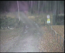 Nástup na běžecké tratě