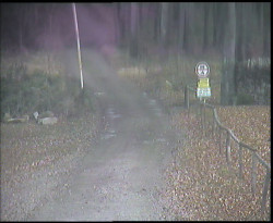 Nástup na běžecké tratě