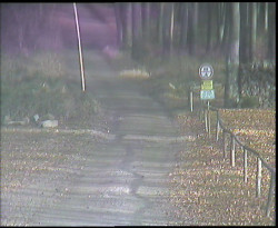 Nástup na běžecké tratě