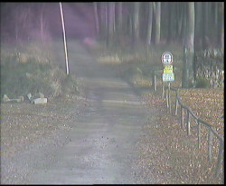 Nástup na běžecké tratě