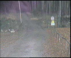 Nástup na běžecké tratě