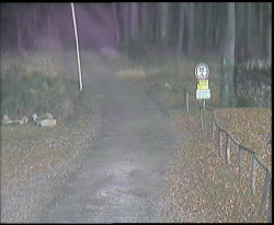 Nástup na běžecké tratě