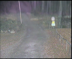 Nástup na běžecké tratě