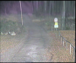 Nástup na běžecké tratě