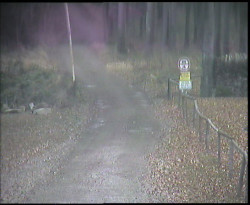 Nástup na běžecké tratě