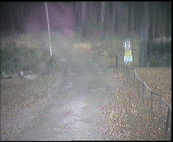 Nástup na běžecké tratě