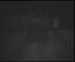 Nástup na běžecké tratě