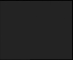 Nástup na běžecké tratě