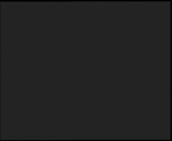 Nástup na běžecké tratě