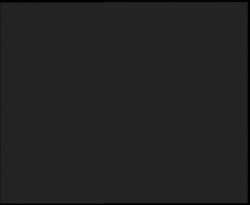 Nástup na běžecké tratě