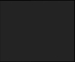 Nástup na běžecké tratě