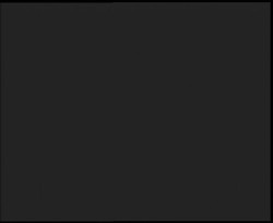 Nástup na běžecké tratě