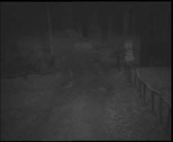 Nástup na běžecké tratě