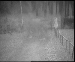 Nástup na běžecké tratě