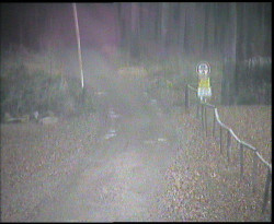 Nástup na běžecké tratě