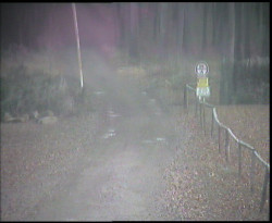 Nástup na běžecké tratě