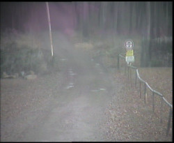 Nástup na běžecké tratě