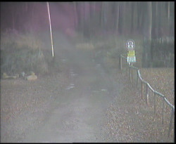 Nástup na běžecké tratě