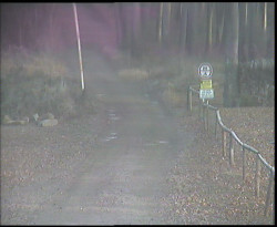 Nástup na běžecké tratě