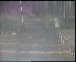 Nástup na běžecké tratě