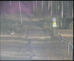 Nástup na běžecké tratě